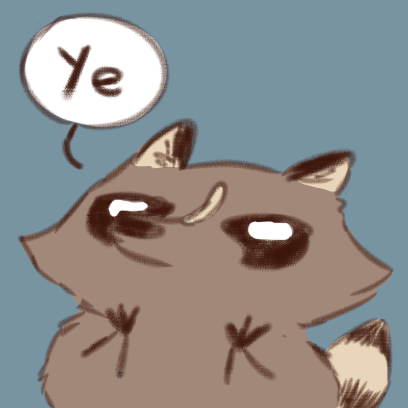 That Raccoon